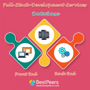  Bestpeers Infosystem Pvt. Ltd.-Software Company In India 